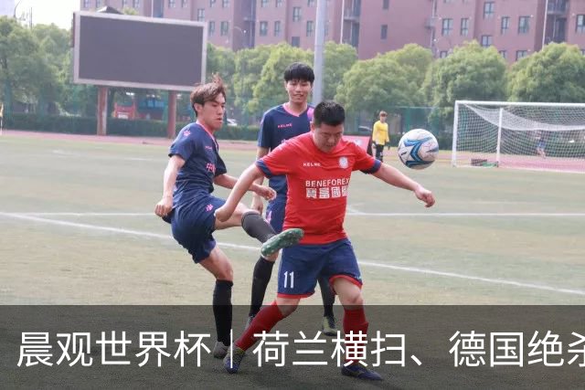 晨观世界杯｜荷兰横扫、德国绝杀，中国裁判迎首秀